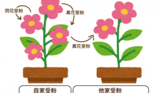 化疗与生物治疗的区别是什么-化疗与生物治疗的区别网-分享生物治疗和化疗的区别，化疗与生物治疗的区别在哪知识库