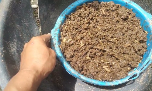 化疗与生物治疗的区别网-分享生物治疗和化疗的区别，化疗与生物治疗的区别在哪知识库